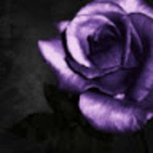 Meet your Posher, Paige